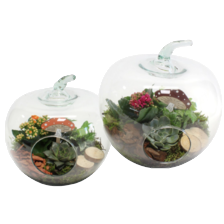 Herfstarrangement €15,00